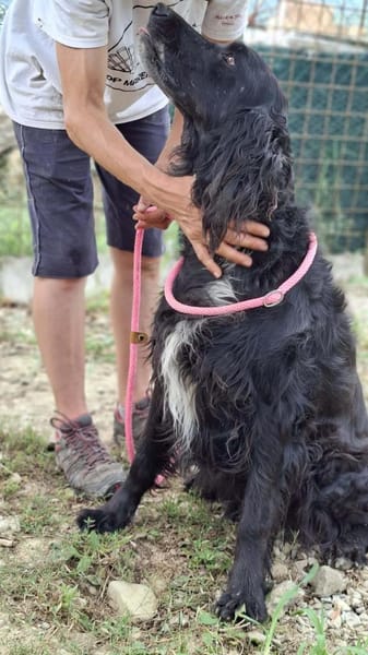 💜Medoro - in Deutschland zur Pflege
