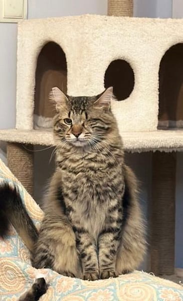 CEVIZ auf dem Weg ins Glück 🍀