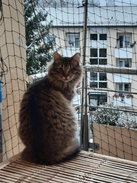 CEVIZ auf dem Weg ins Glück 🍀