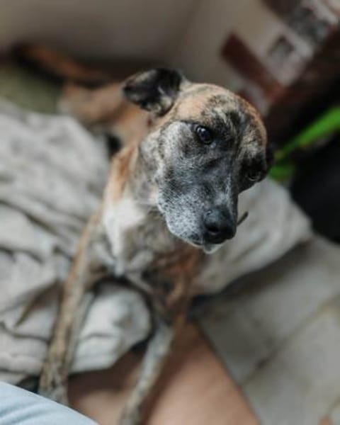 NOREIA * sanft + freundlich für Familie