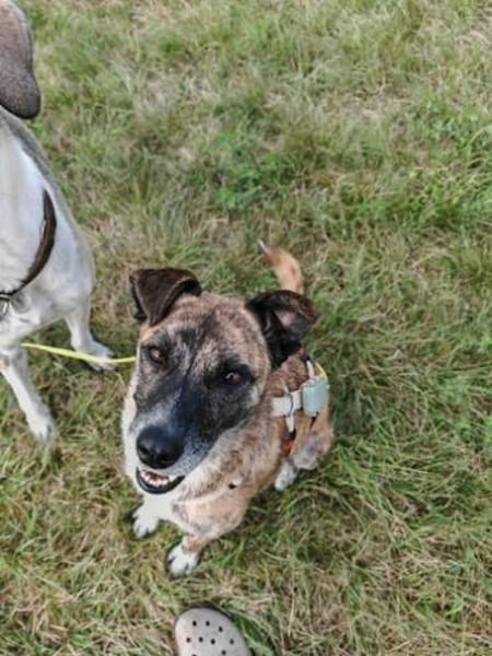 NOREIA * sanft + freundlich für Familie