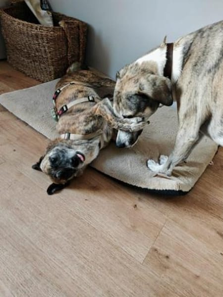 NOREIA * sanft + freundlich für Familie