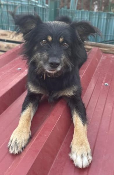 MIMO ☀ sozial, brav, wunderbar