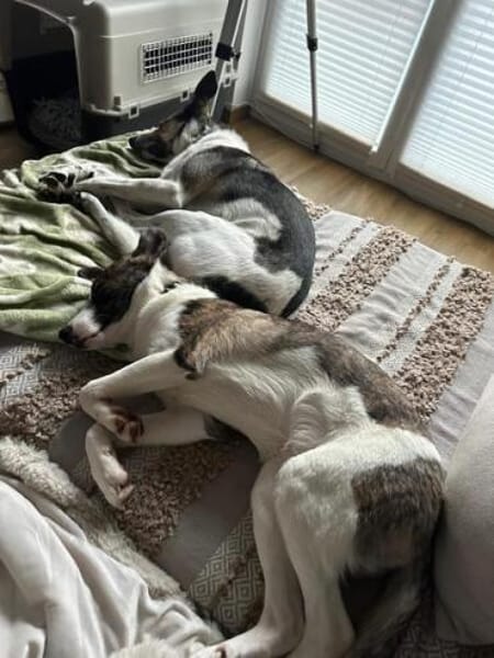 LELIA * offen zutraulich herzlich