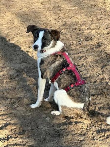 LELIA * offen zutraulich herzlich