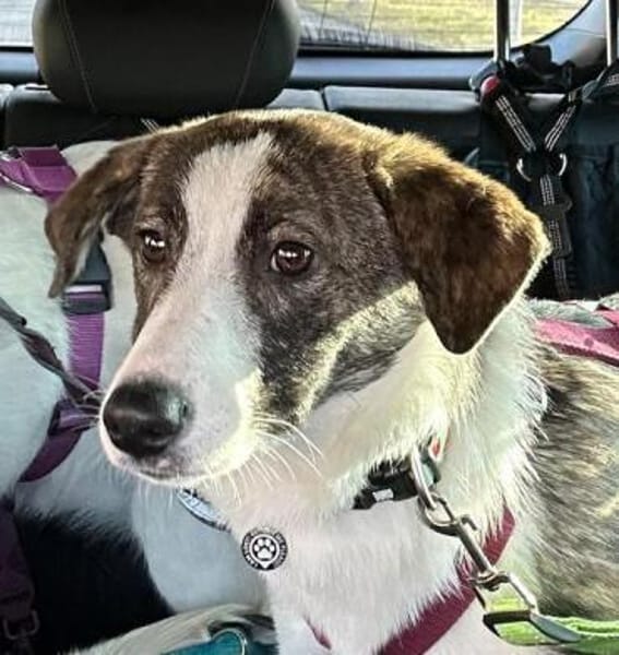 LELIA * offen zutraulich herzlich