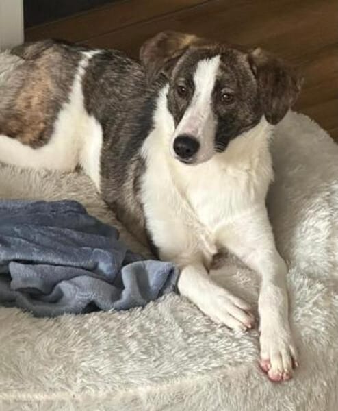 LELIA * offen zutraulich herzlich