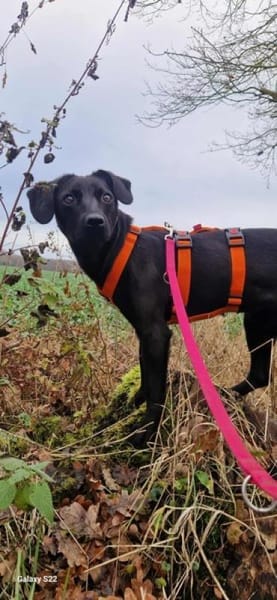 MIRA * zartes freundliches Mädchen