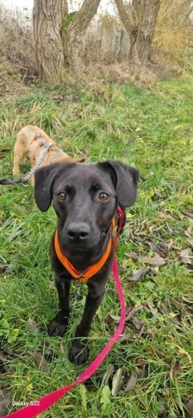 MIRA * zartes freundliches Mädchen