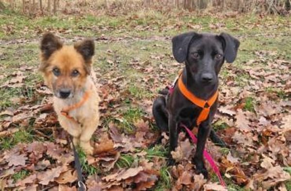 MIRA * zartes freundliches Mädchen