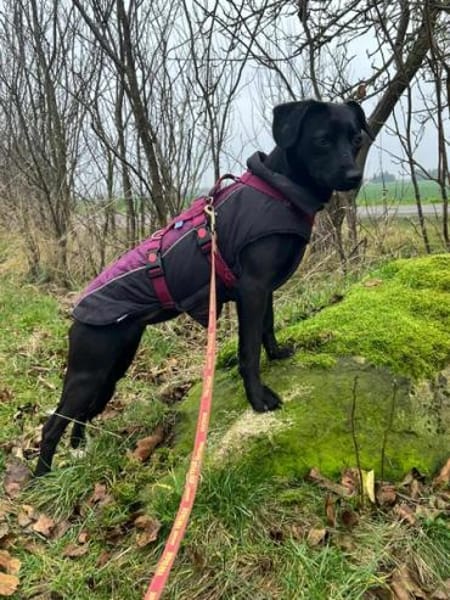 MIRA * zartes freundliches Mädchen