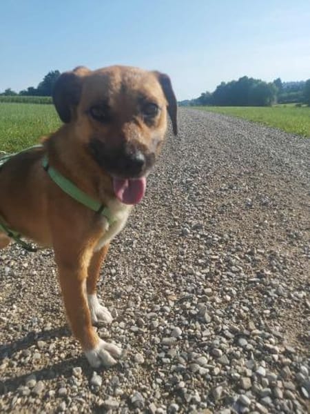 Liebevoller Bernd sucht seine Familie