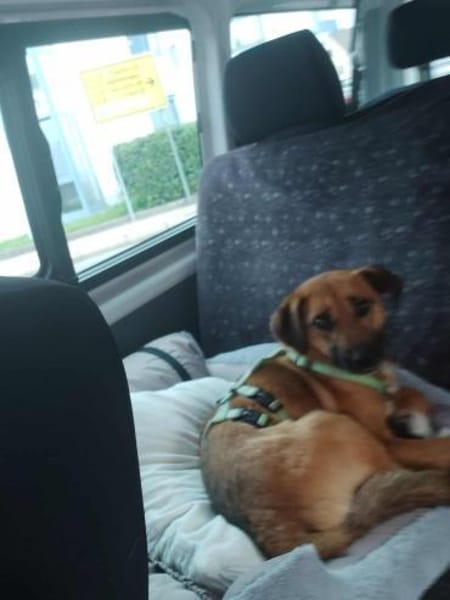 Liebevoller Bernd sucht seine Familie