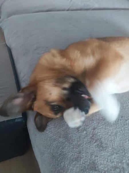 Liebevoller Bernd sucht seine Familie