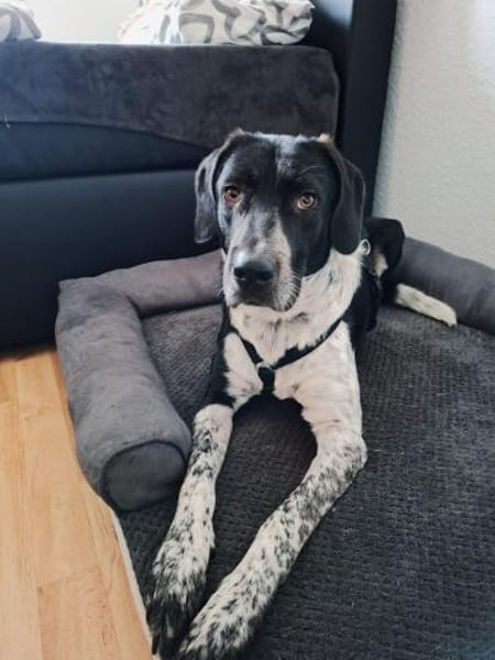 Nando  auf der Suche nach Liebe