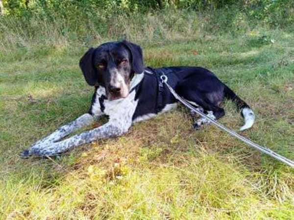 Nando  auf der Suche nach Liebe