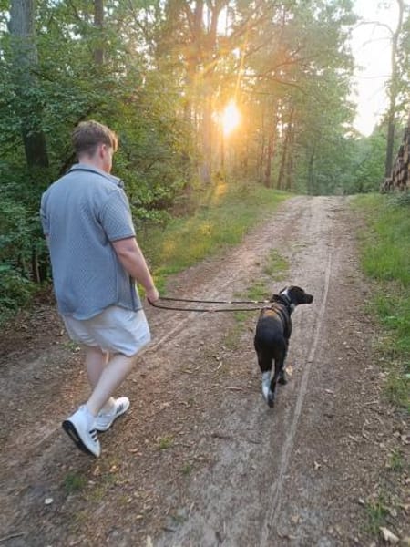 Nando  auf der Suche nach Liebe