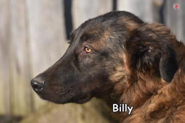 BILLY