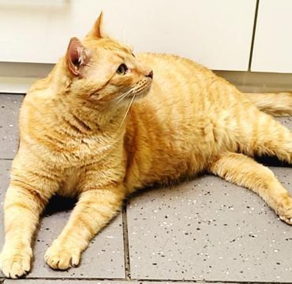 Perfekt unperfekt...Handicap sucht Liebe