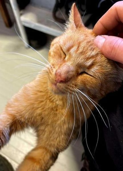 Perfekt unperfekt...Handicap sucht Liebe