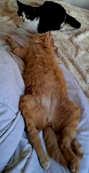 Perfekt unperfekt...Handicap sucht Liebe