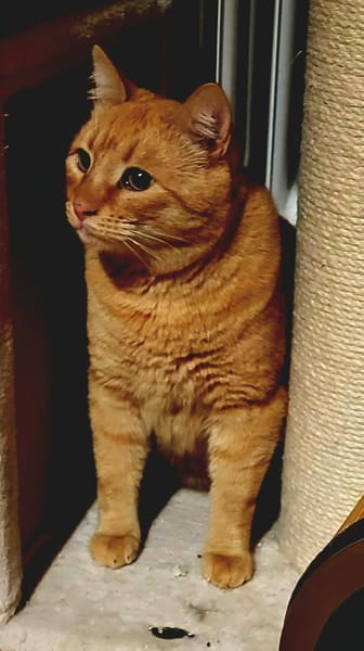 Perfekt unperfekt...Handicap sucht Liebe