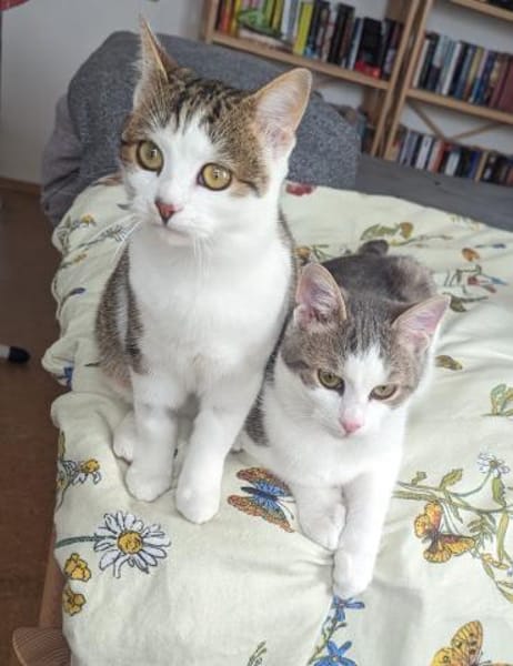 Luna und Luis  gemeinsames Glück?