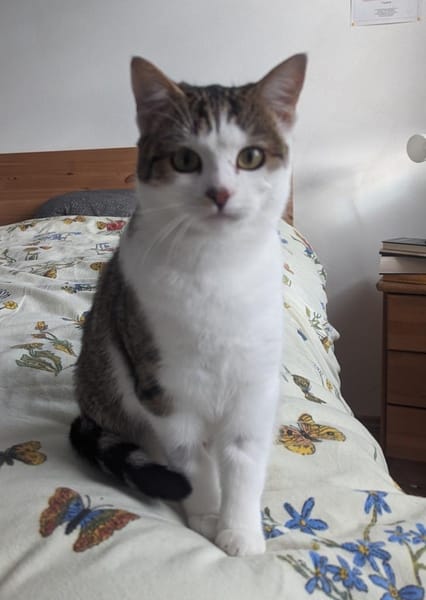 Luna und Luis  gemeinsames Glück?