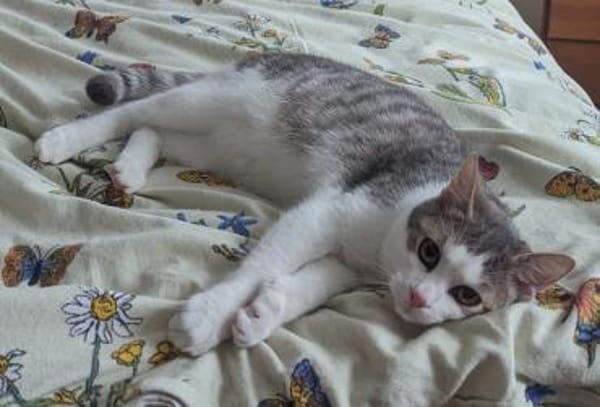 Luna und Luis  gemeinsames Glück?