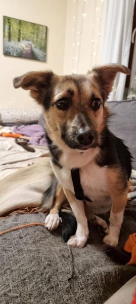 Inga auf PS in Flintbek