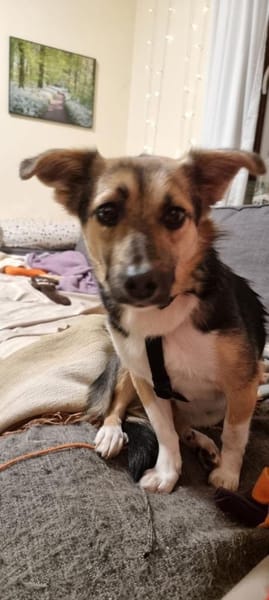 Inga auf PS in Flintbek