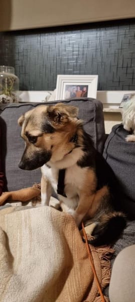 Inga auf PS in Flintbek