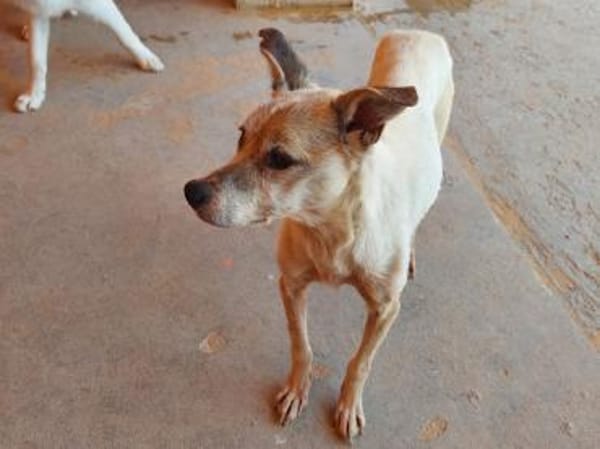 Wer gibt Seniorin Martinia ein Zuhause?