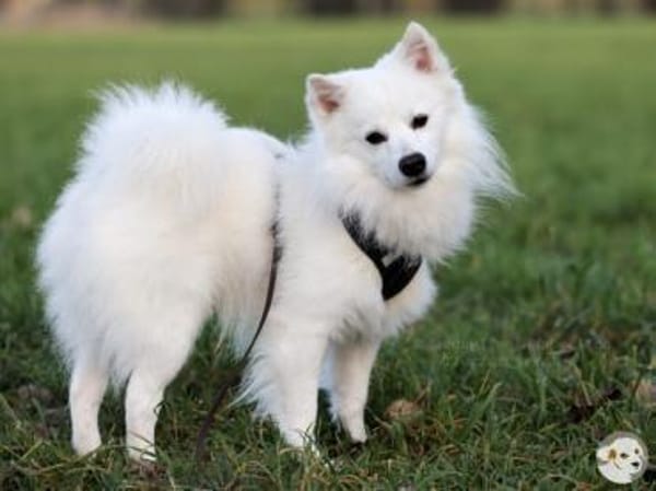 Felix wünscht sich empathische Familie