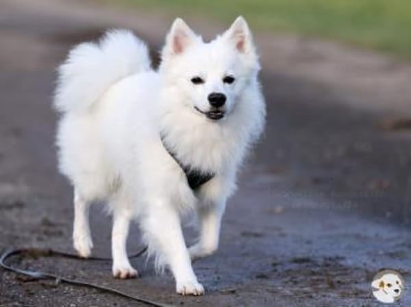 Felix wünscht sich empathische Familie