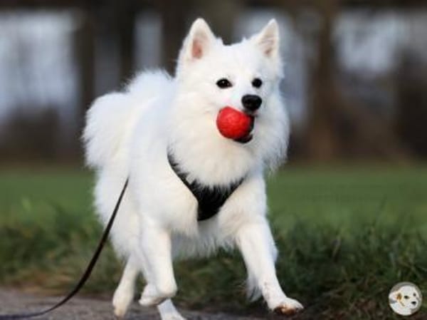 Felix wünscht sich empathische Familie