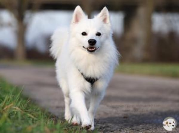 Felix wünscht sich empathische Familie