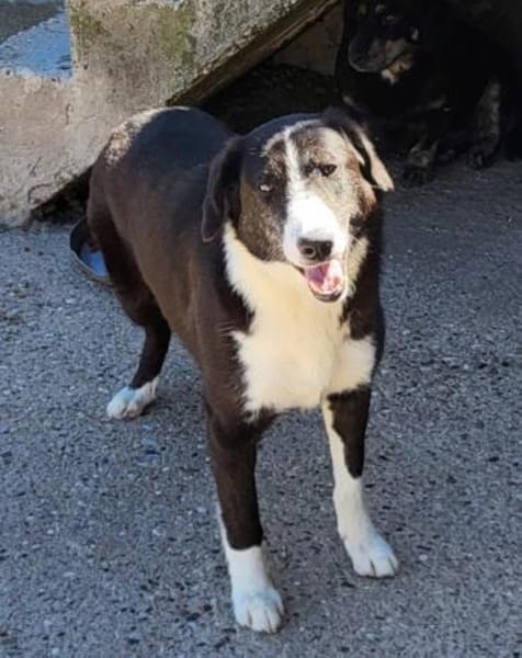 Genießerschnute ♥Mona♥ in 01640 Coswig