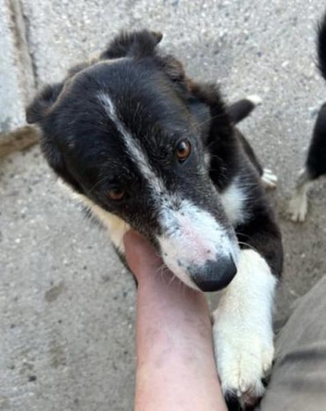 Genießerschnute ♥Mona♥ in 01640 Coswig