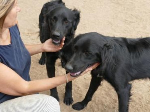 Bambo freut sich auf sein neues Leben