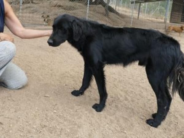 Bambo freut sich auf sein neues Leben