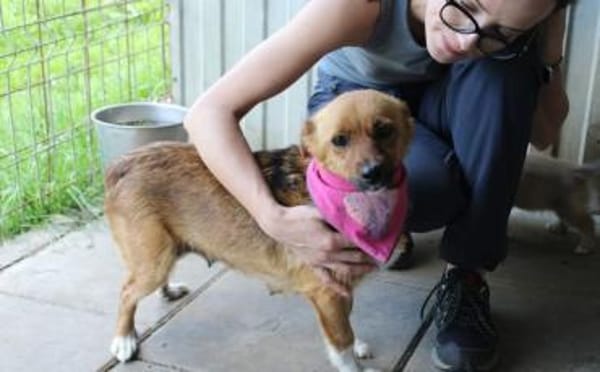 Umgängliche Josepha sucht ihre Menschen