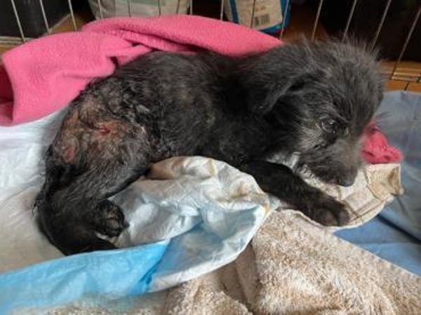 Lara hofft auf ein gutes Leben