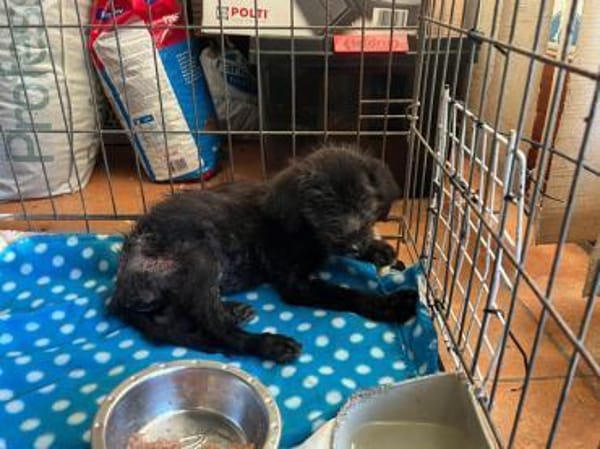 Lara hofft auf ein gutes Leben