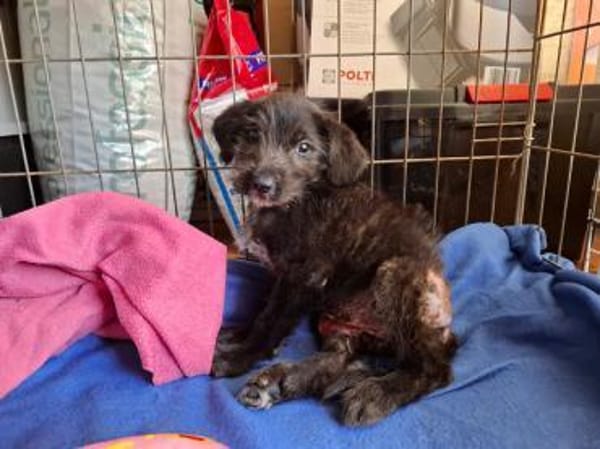 Lara hofft auf ein gutes Leben