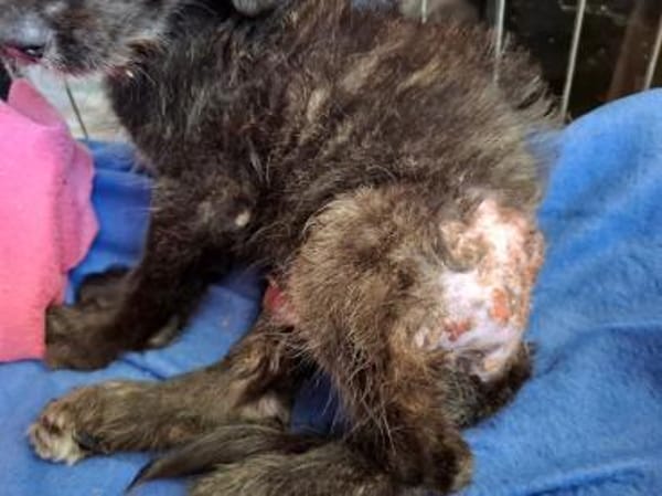 Lara hofft auf ein gutes Leben