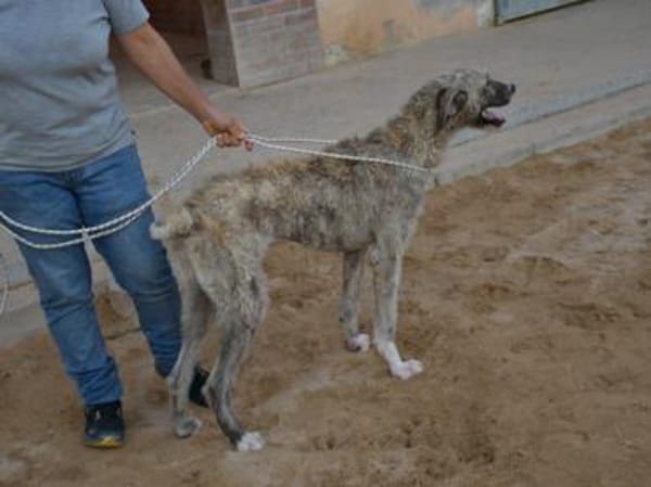 Kore sucht aktive Menschen