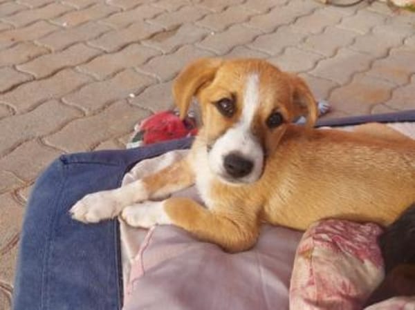 Paolina sucht ihre Familie