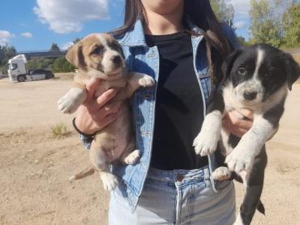 Paolina sucht ihre Familie