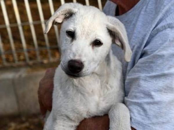 Dalia sucht engen Familienanschluss